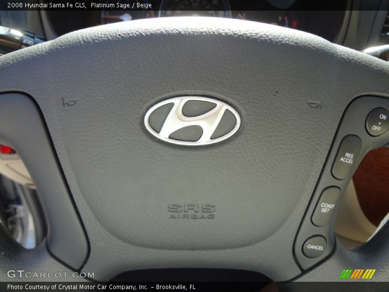 Platinum Sage / Beige 2008 Hyundai Santa Fe GLS