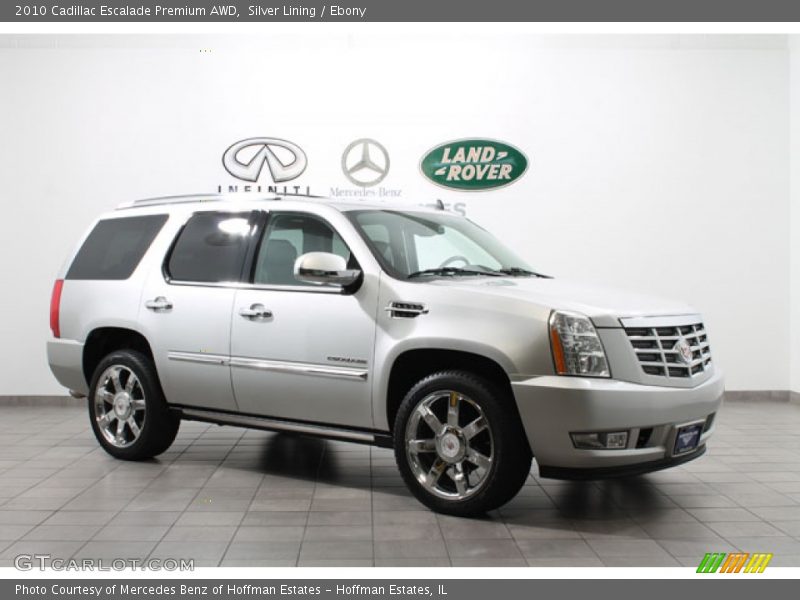Silver Lining / Ebony 2010 Cadillac Escalade Premium AWD