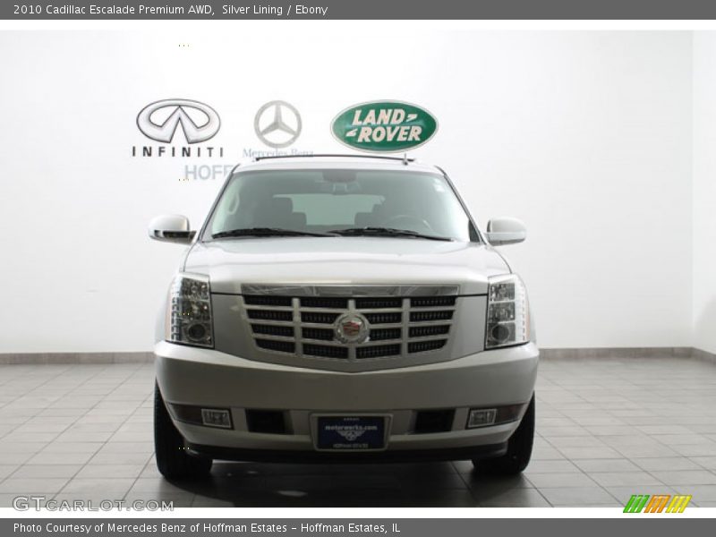 Silver Lining / Ebony 2010 Cadillac Escalade Premium AWD