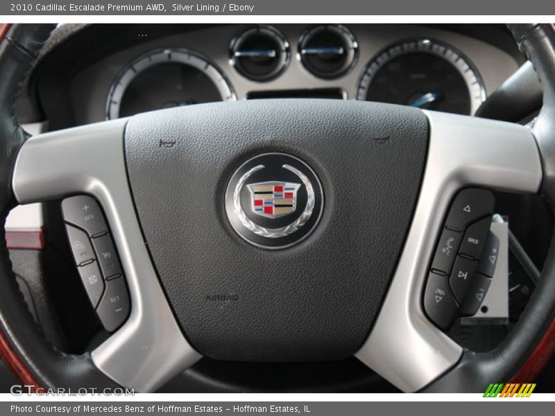 Silver Lining / Ebony 2010 Cadillac Escalade Premium AWD