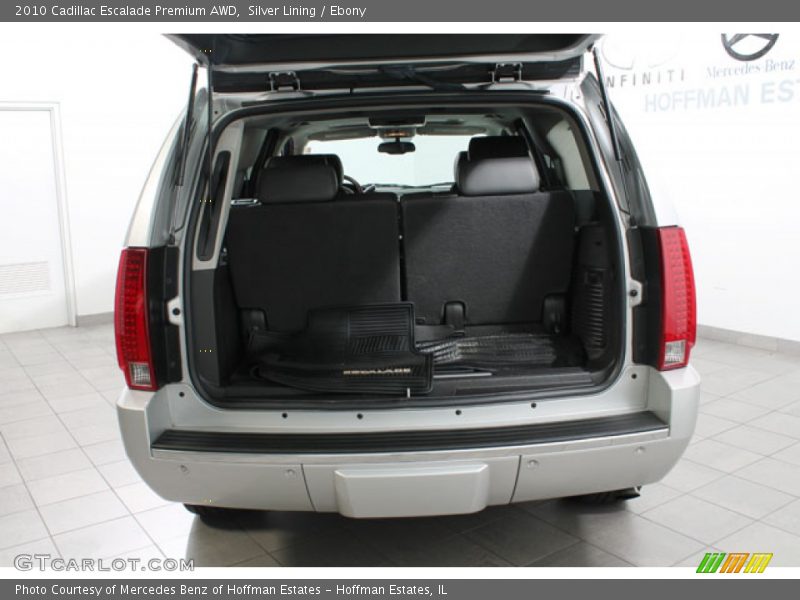 Silver Lining / Ebony 2010 Cadillac Escalade Premium AWD