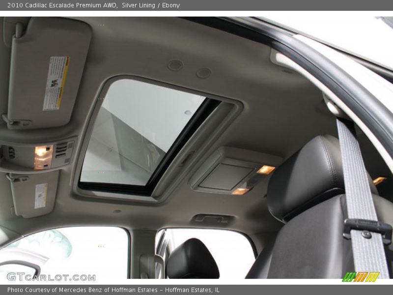 Silver Lining / Ebony 2010 Cadillac Escalade Premium AWD