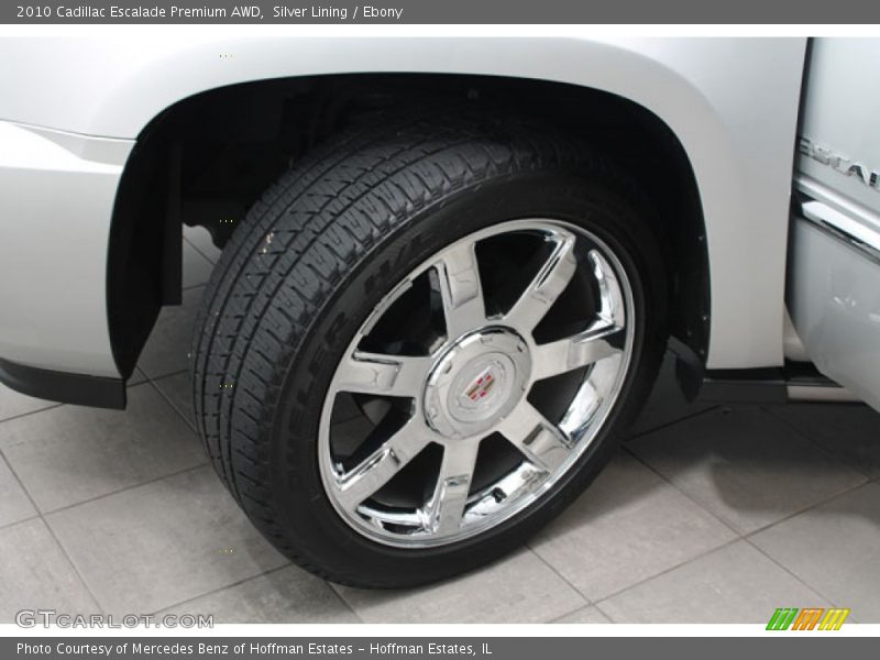 Silver Lining / Ebony 2010 Cadillac Escalade Premium AWD