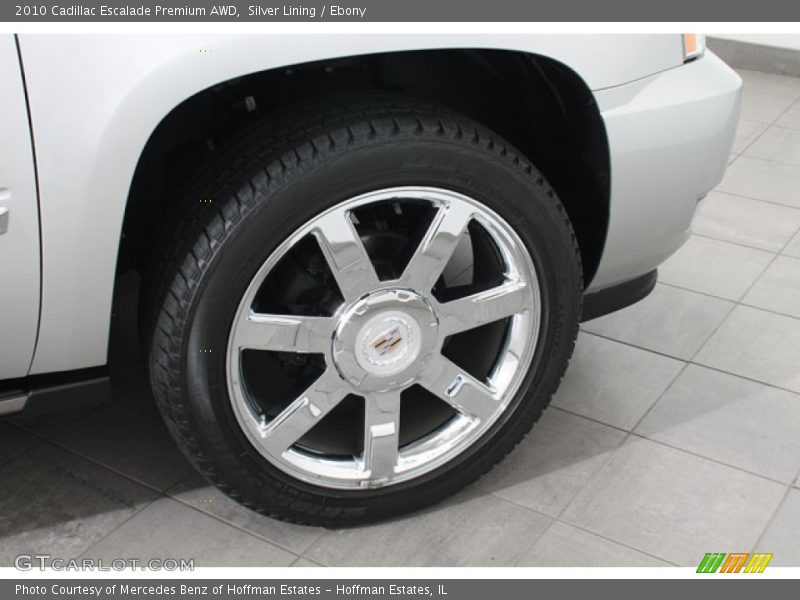 Silver Lining / Ebony 2010 Cadillac Escalade Premium AWD