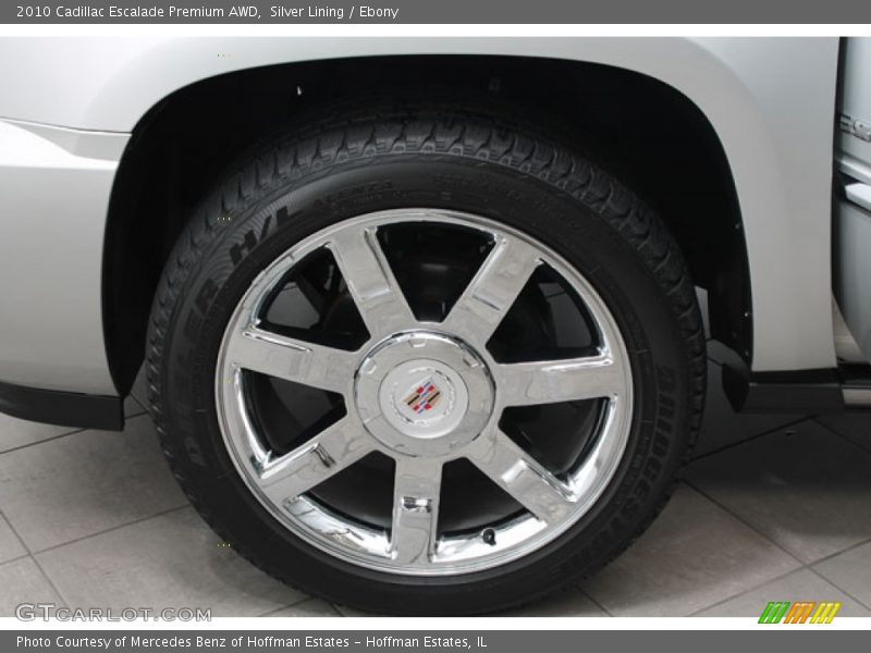 Silver Lining / Ebony 2010 Cadillac Escalade Premium AWD