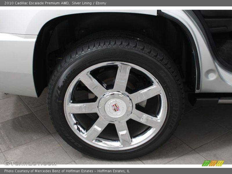 Silver Lining / Ebony 2010 Cadillac Escalade Premium AWD