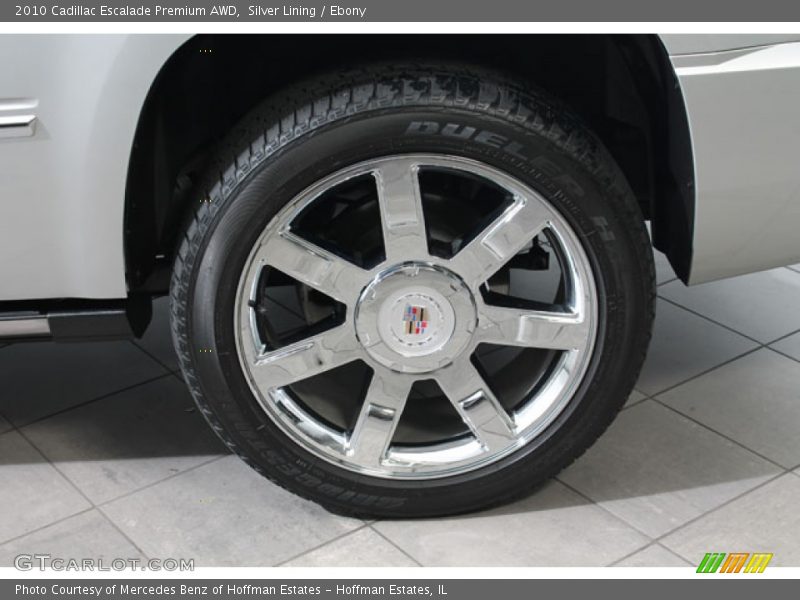 Silver Lining / Ebony 2010 Cadillac Escalade Premium AWD