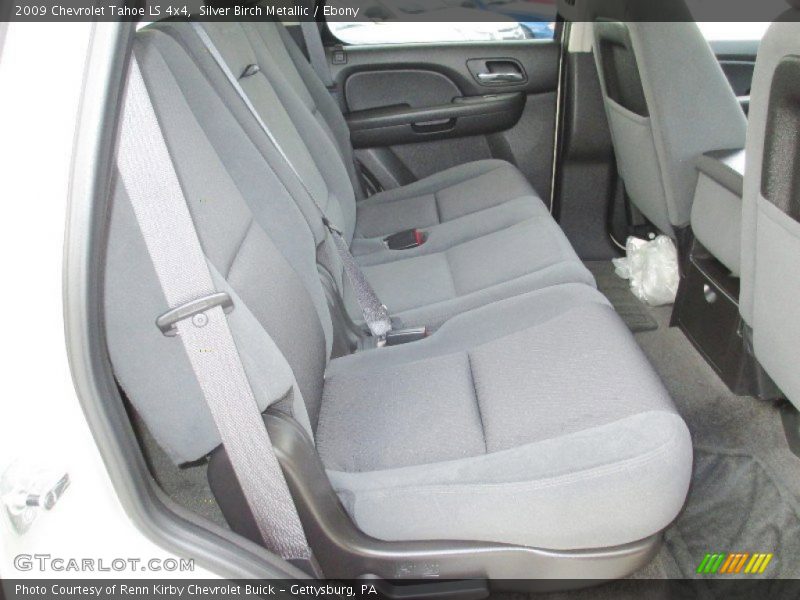 Silver Birch Metallic / Ebony 2009 Chevrolet Tahoe LS 4x4