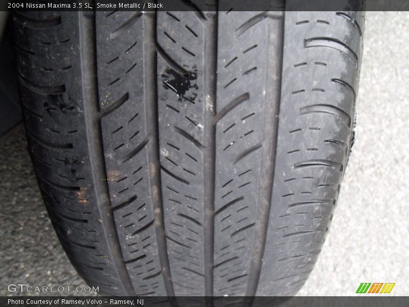 Smoke Metallic / Black 2004 Nissan Maxima 3.5 SL
