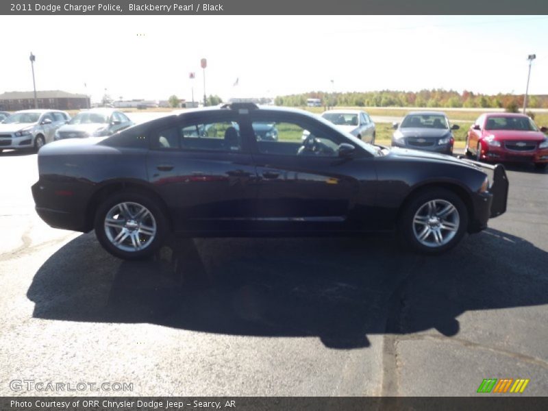 Blackberry Pearl / Black 2011 Dodge Charger Police