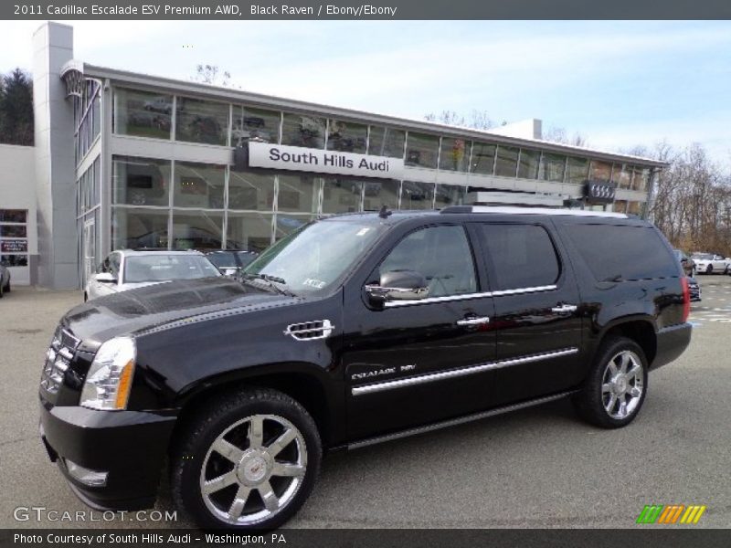 Black Raven / Ebony/Ebony 2011 Cadillac Escalade ESV Premium AWD