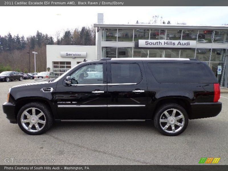 Black Raven / Ebony/Ebony 2011 Cadillac Escalade ESV Premium AWD