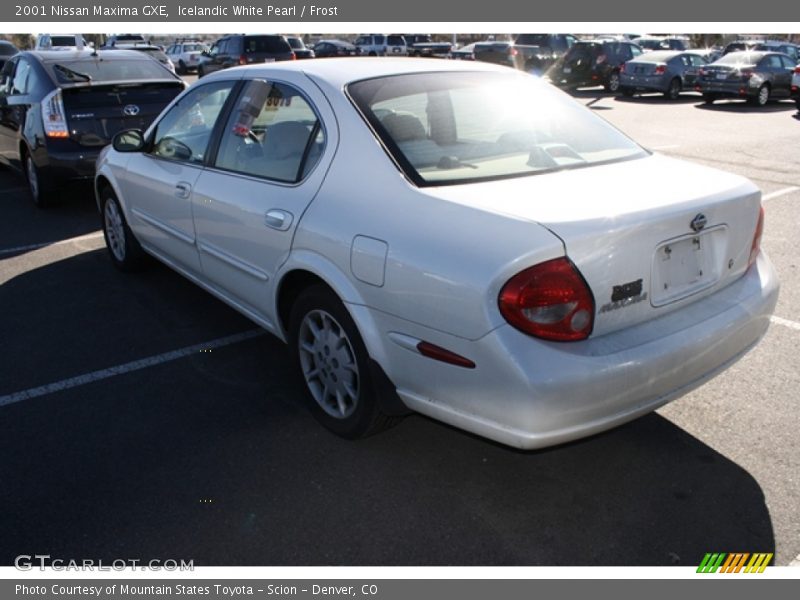 Icelandic White Pearl / Frost 2001 Nissan Maxima GXE