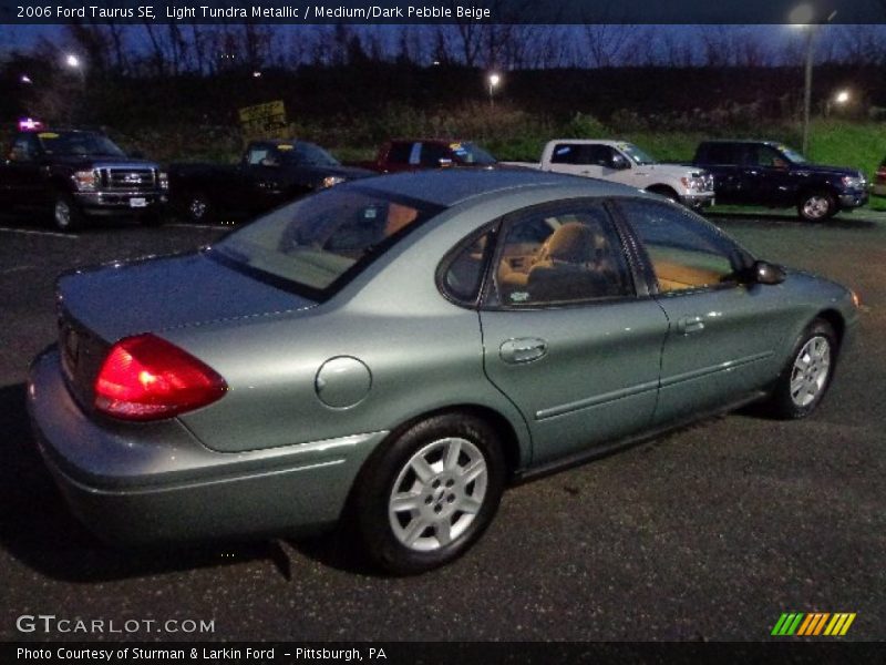 Light Tundra Metallic / Medium/Dark Pebble Beige 2006 Ford Taurus SE