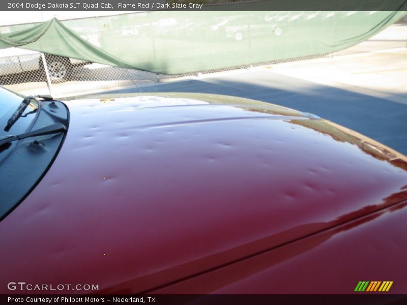 Flame Red / Dark Slate Gray 2004 Dodge Dakota SLT Quad Cab
