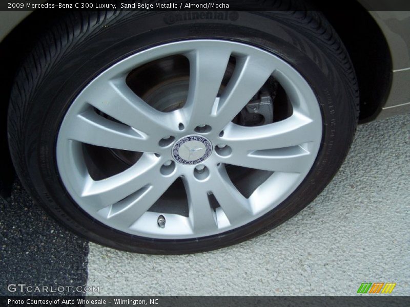 Sand Beige Metallic / Almond/Mocha 2009 Mercedes-Benz C 300 Luxury