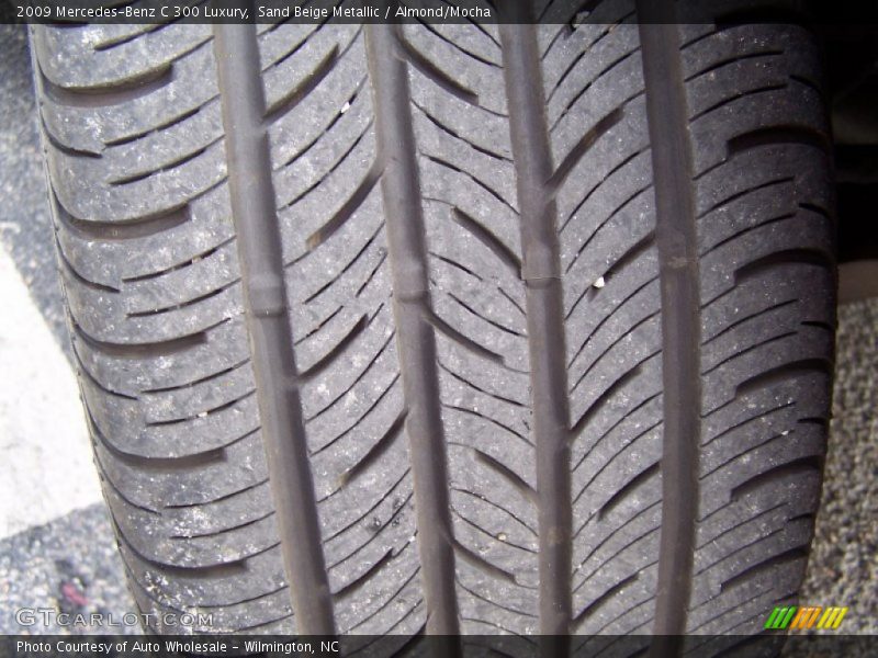 Sand Beige Metallic / Almond/Mocha 2009 Mercedes-Benz C 300 Luxury