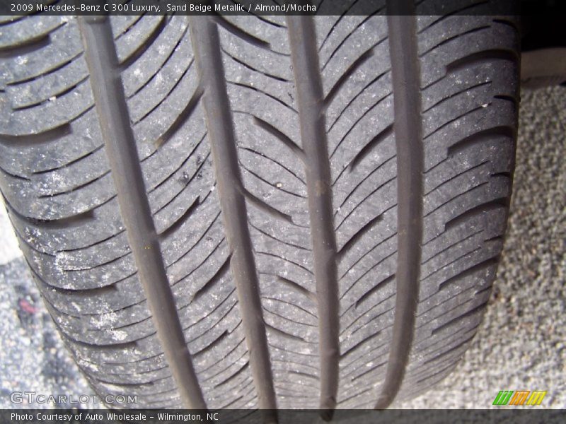 Sand Beige Metallic / Almond/Mocha 2009 Mercedes-Benz C 300 Luxury