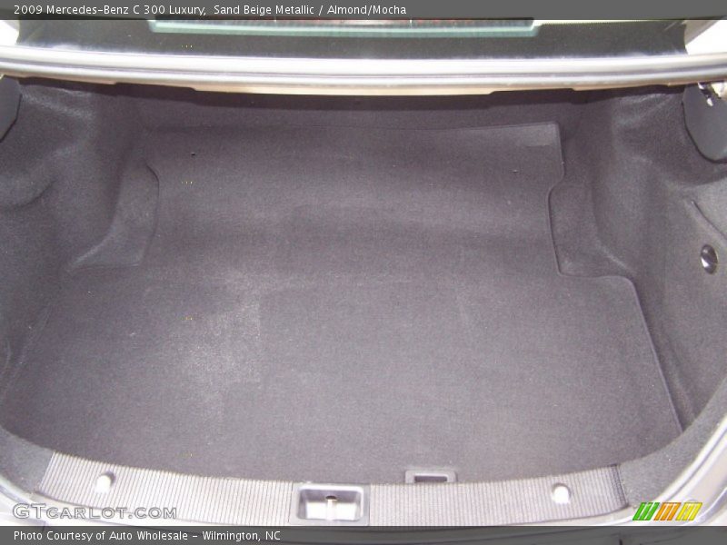 Sand Beige Metallic / Almond/Mocha 2009 Mercedes-Benz C 300 Luxury