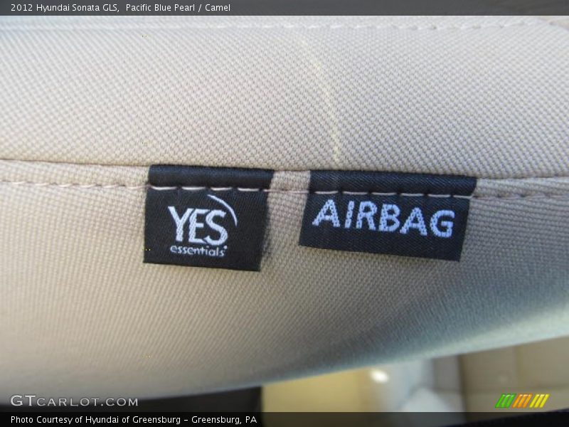 Pacific Blue Pearl / Camel 2012 Hyundai Sonata GLS