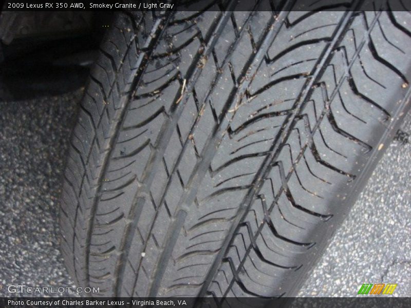 Smokey Granite / Light Gray 2009 Lexus RX 350 AWD