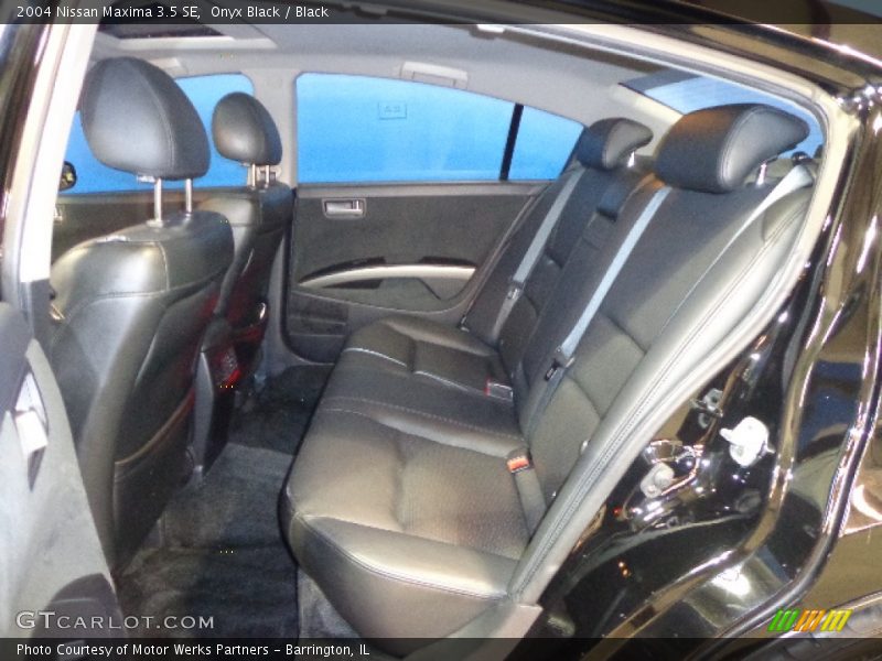 Onyx Black / Black 2004 Nissan Maxima 3.5 SE