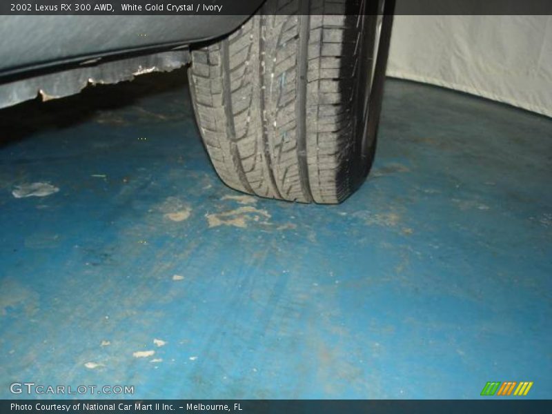 White Gold Crystal / Ivory 2002 Lexus RX 300 AWD
