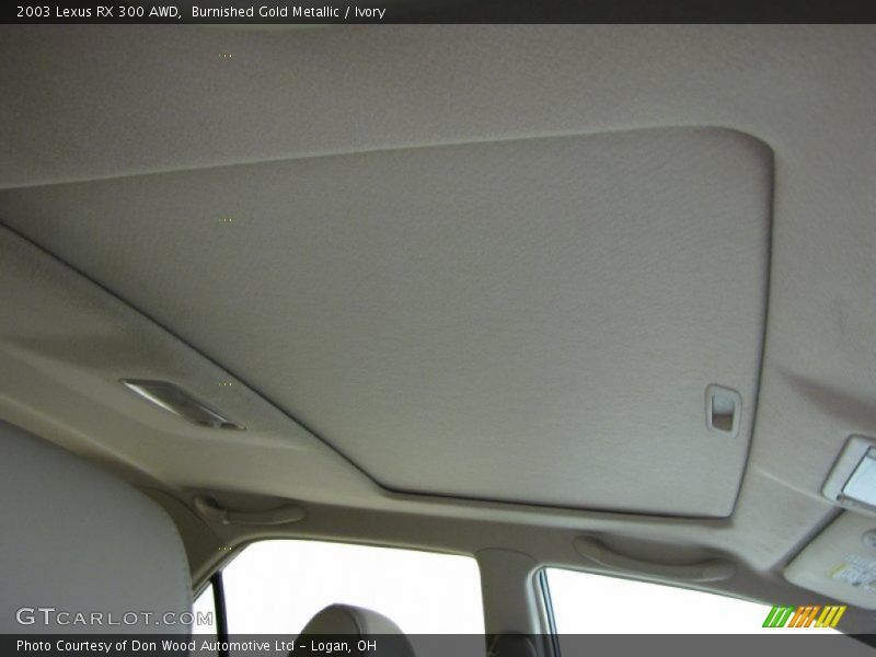Burnished Gold Metallic / Ivory 2003 Lexus RX 300 AWD