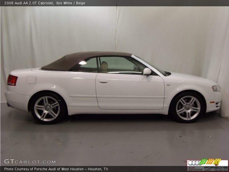 Ibis White / Beige 2008 Audi A4 2.0T Cabriolet