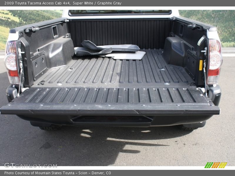 Super White / Graphite Gray 2009 Toyota Tacoma Access Cab 4x4