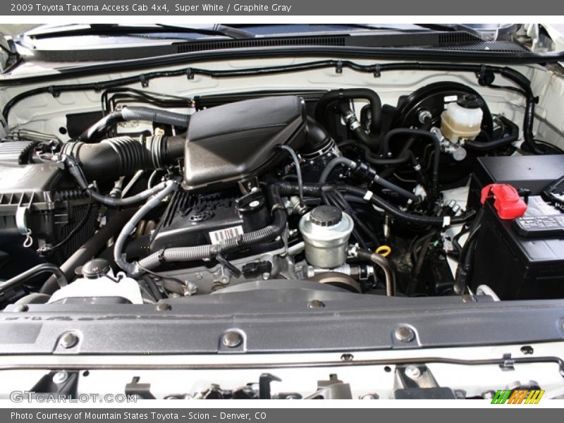 Super White / Graphite Gray 2009 Toyota Tacoma Access Cab 4x4