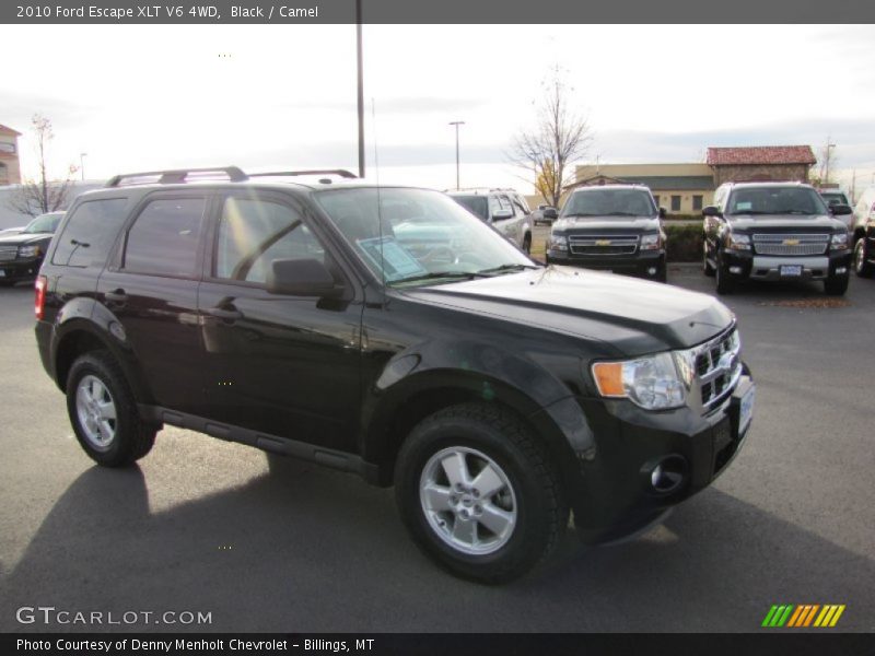 Black / Camel 2010 Ford Escape XLT V6 4WD
