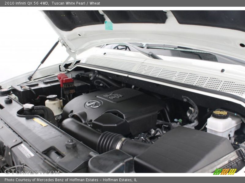 Tuscan White Pearl / Wheat 2010 Infiniti QX 56 4WD