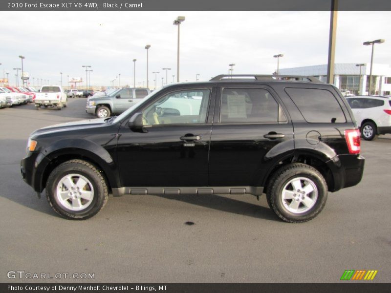 Black / Camel 2010 Ford Escape XLT V6 4WD