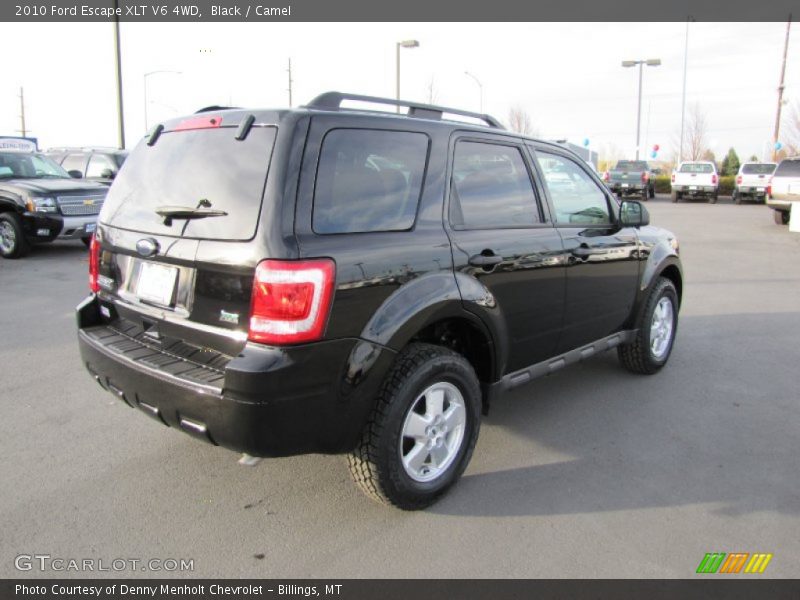 Black / Camel 2010 Ford Escape XLT V6 4WD