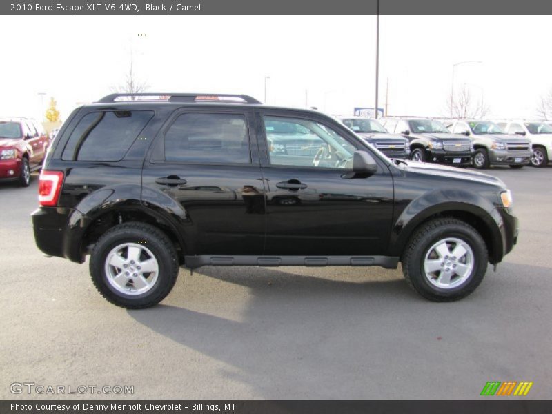 Black / Camel 2010 Ford Escape XLT V6 4WD