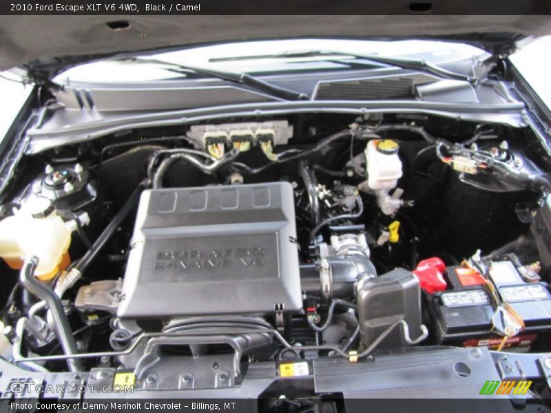 Black / Camel 2010 Ford Escape XLT V6 4WD