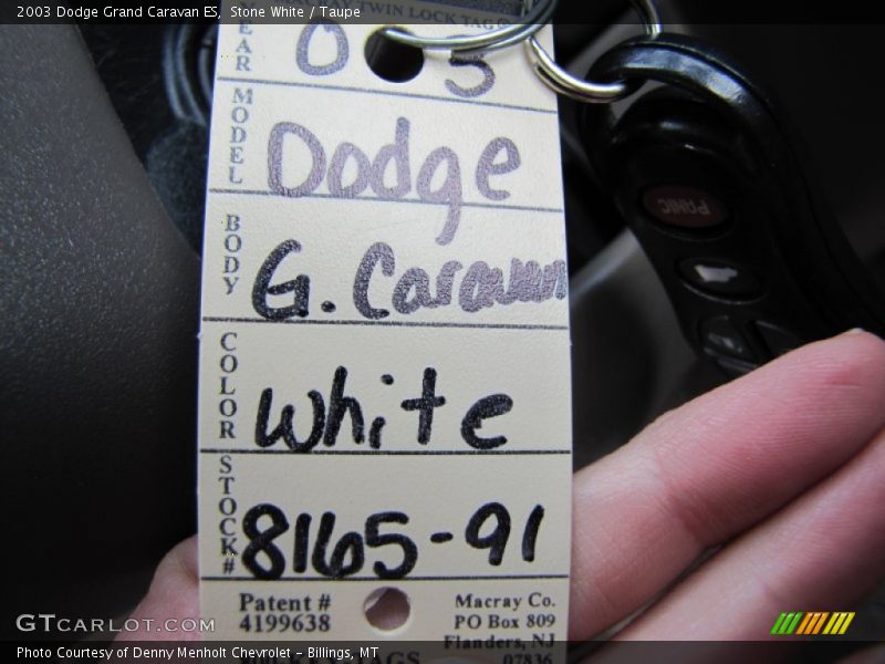 Stone White / Taupe 2003 Dodge Grand Caravan ES