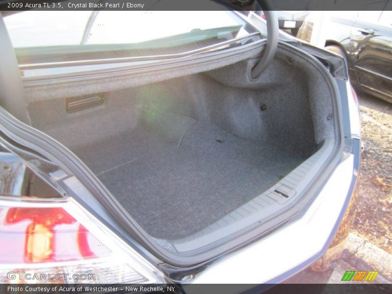 Crystal Black Pearl / Ebony 2009 Acura TL 3.5