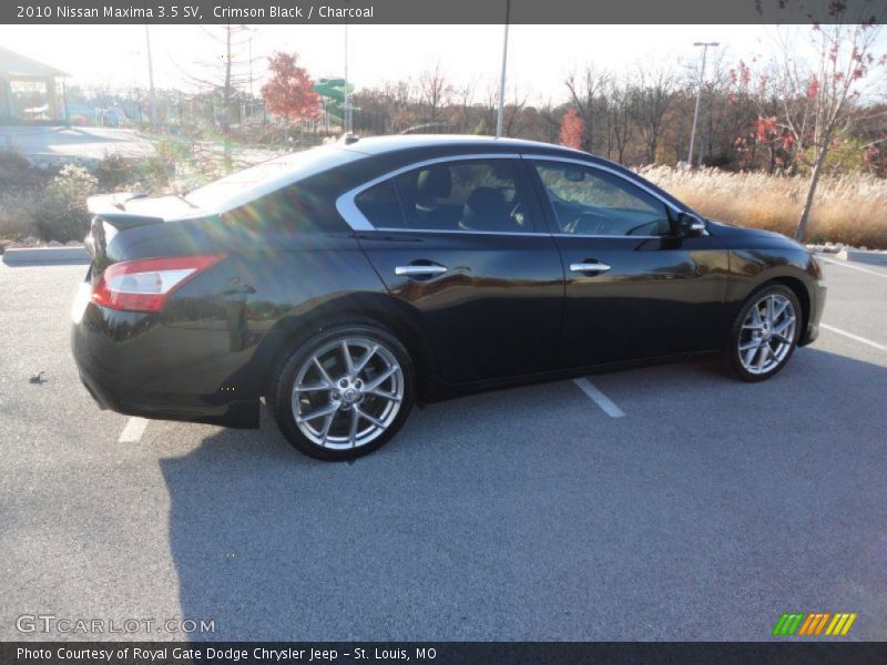 Crimson Black / Charcoal 2010 Nissan Maxima 3.5 SV
