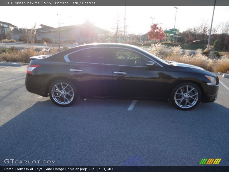 Crimson Black / Charcoal 2010 Nissan Maxima 3.5 SV