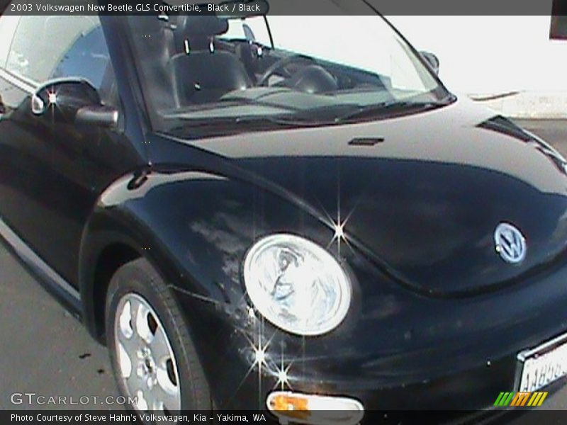 Black / Black 2003 Volkswagen New Beetle GLS Convertible