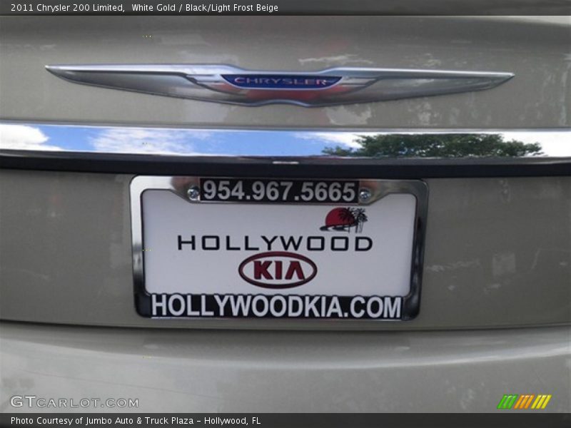 White Gold / Black/Light Frost Beige 2011 Chrysler 200 Limited