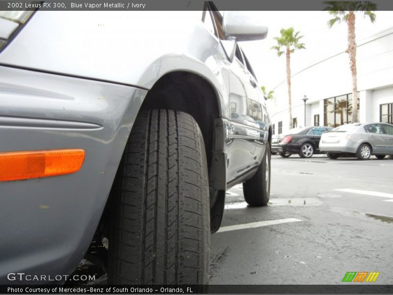 Blue Vapor Metallic / Ivory 2002 Lexus RX 300