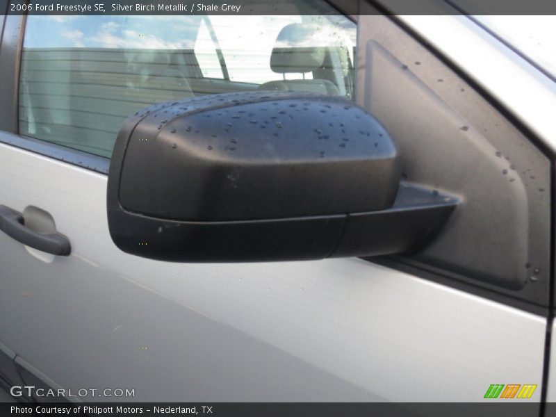 Silver Birch Metallic / Shale Grey 2006 Ford Freestyle SE