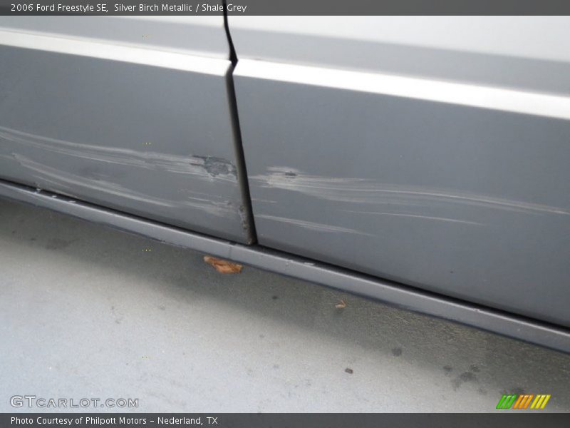 Silver Birch Metallic / Shale Grey 2006 Ford Freestyle SE
