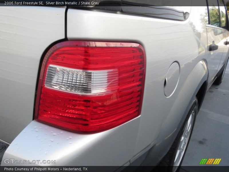 Silver Birch Metallic / Shale Grey 2006 Ford Freestyle SE
