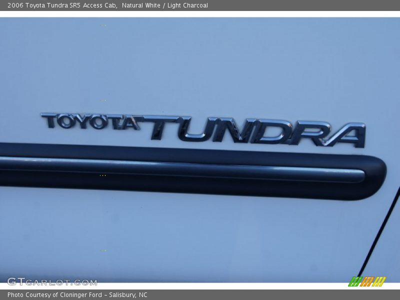 Natural White / Light Charcoal 2006 Toyota Tundra SR5 Access Cab