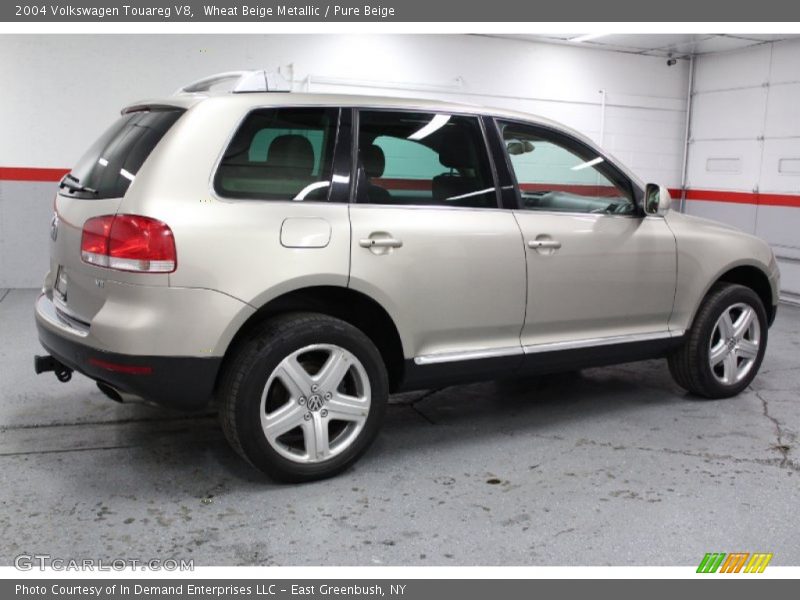 Wheat Beige Metallic / Pure Beige 2004 Volkswagen Touareg V8