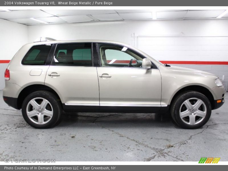 Wheat Beige Metallic / Pure Beige 2004 Volkswagen Touareg V8